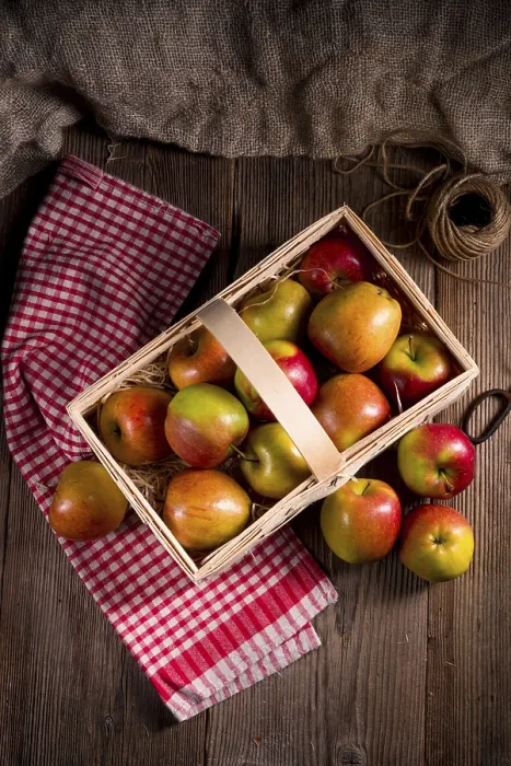 Framed Print : Autumn Apple Print Framed Print : Autumn Apple Print