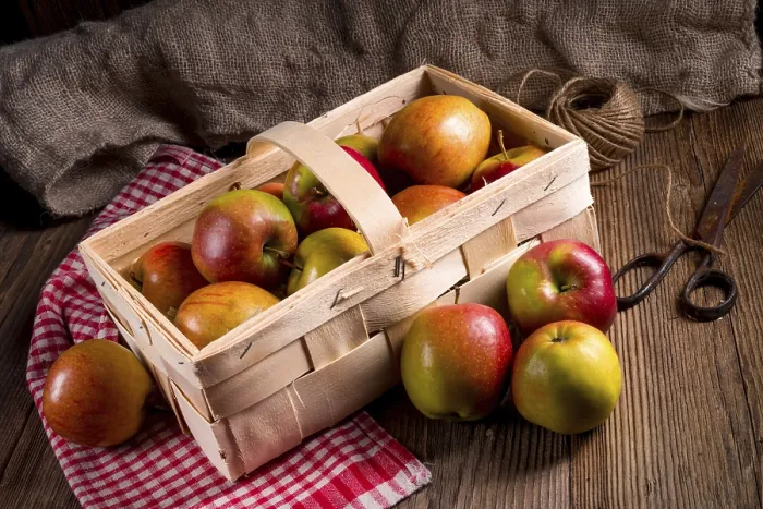 Framed Print : Autumn Apple Print Framed Print : Autumn Apple Print