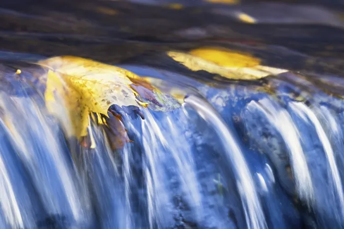 Framed Print : Autumn Maple Leaf Print: Gentle Waterfall Reflections Framed Print : Autumn Maple Leaf Print: Gentle Waterfall Reflections