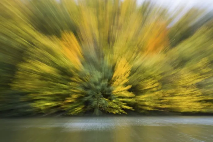Framed Print : Autumn Print by the River in Hesse, Germany Framed Print : Autumn Print by the River in Hesse, Germany