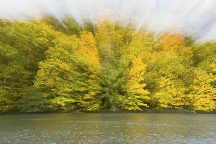 Framed Print : Autumn Impression by the River Print, Hesse, Germany Framed Print : Autumn Impression by the River Print, Hesse, Germany