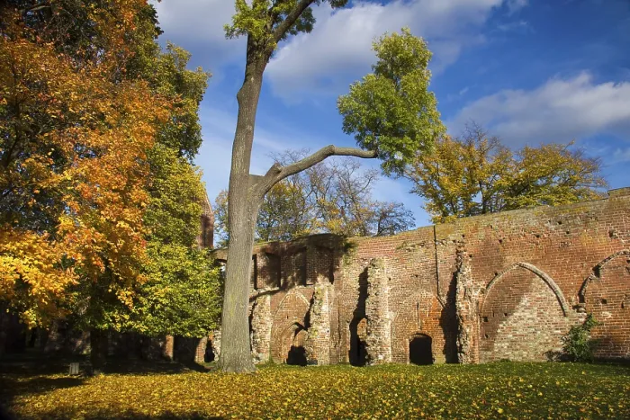 Framed Print : Autumn Print in Monastery Setting Framed Print : Autumn Print in Monastery Setting