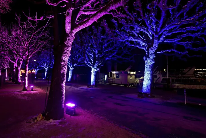 Framed Print : Avenue of Trees Light Installation Print, Lucerne Switzerland Framed Print : Avenue of Trees Light Installation Print, Lucerne Switzerland