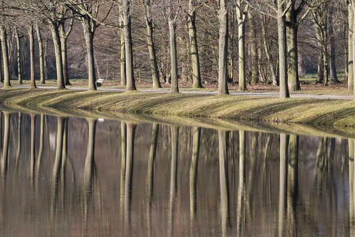 Framed Print : Avenue of Trees, Hesse, Germany Print Framed Print : Avenue of Trees, Hesse, Germany Print