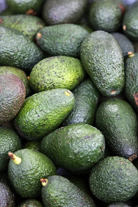 Framed Print : Avocado Print - Close-up of Avocado Fruit Framed Print : Avocado Print - Close-up of Avocado Fruit