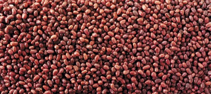 Framed Print : Azuki Bean Print Framed Print : Azuki Bean Print