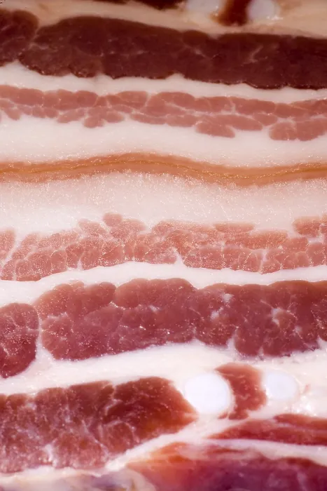Framed Print : Bacon Bacon Print by imageBROKER Framed Print : Bacon Bacon Print by imageBROKER