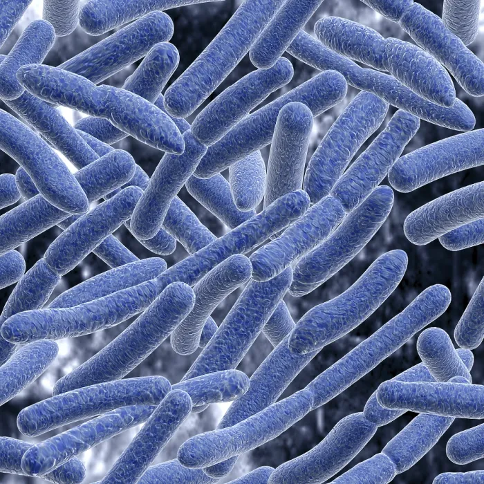 Framed Print : Bacteria Print Framed Print : Bacteria Print