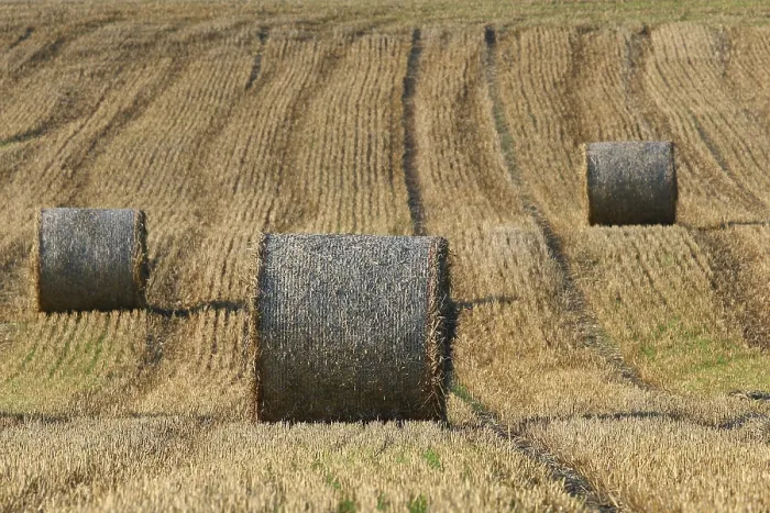 Framed Print : Straw Bales Print Framed Print : Straw Bales Print