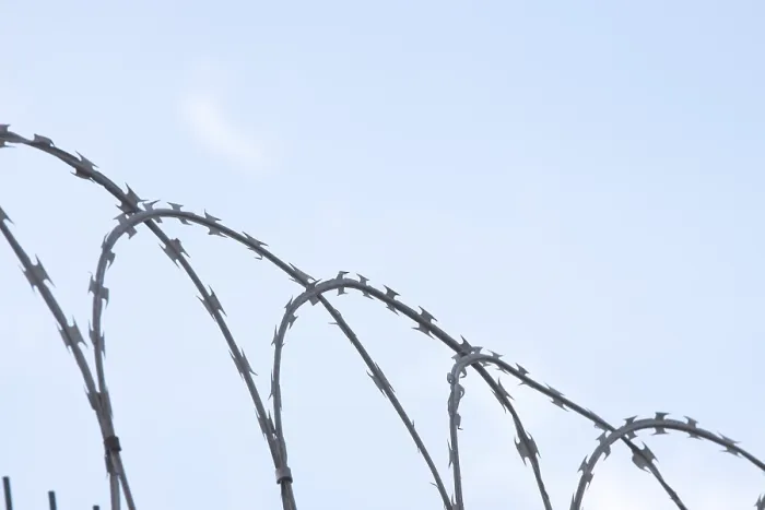 Framed Print : Barbed Wire Print, Coiled Fencing Framed Print : Barbed Wire Print, Coiled Fencing