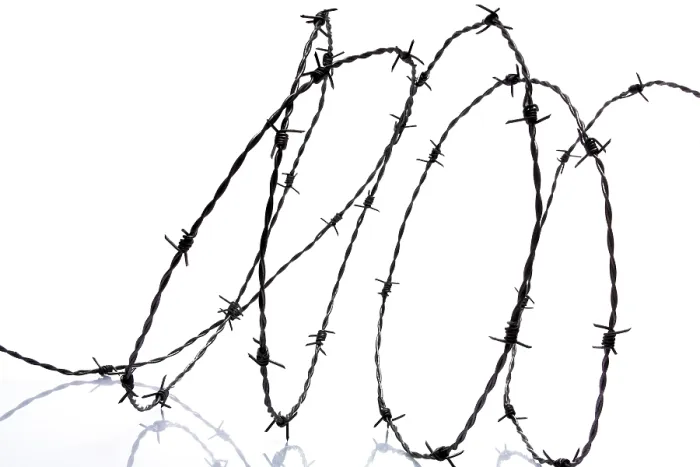 Framed Print : Barbed Wire Print - Coiled Fence Barrier Framed Print : Barbed Wire Print - Coiled Fence Barrier