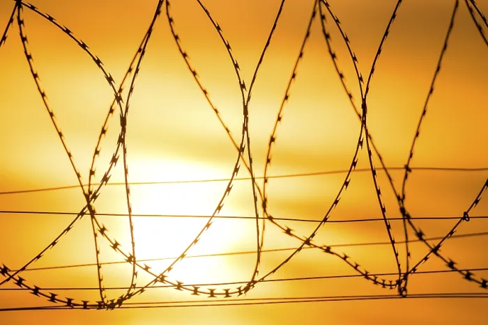 Framed Print : Barbed Wire at Sunset Print, Baden-Wurttemberg, Germany