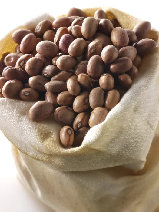 Framed Print : Barlotti Beans Print Framed Print : Barlotti Beans Print