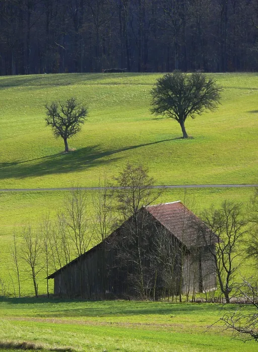 Framed Print : Barn on Tree Meadow Print in Winter Landscape Framed Print : Barn on Tree Meadow Print in Winter Landscape