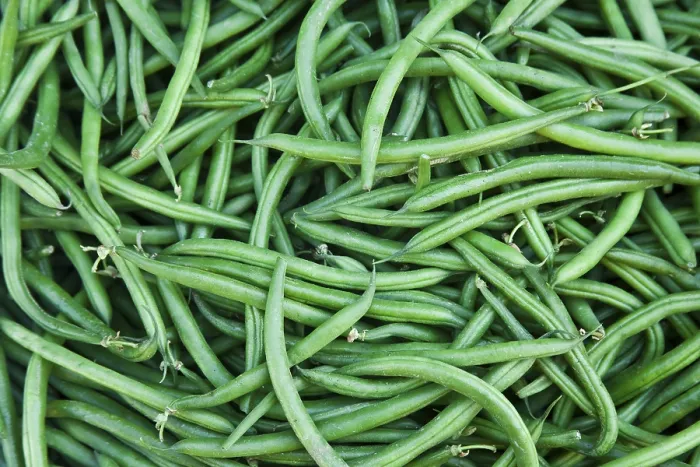 Framed Print : Bars Beans Print by imageBROKER Framed Print : Bars Beans Print by imageBROKER