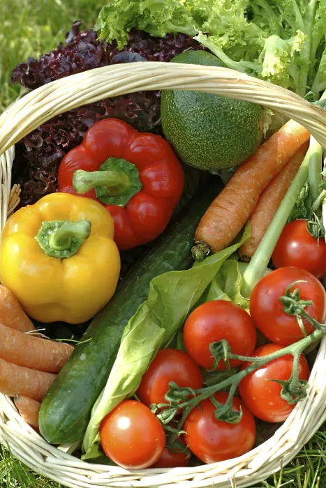 Framed Print : Basket with Vegetables Print Framed Print : Basket with Vegetables Print