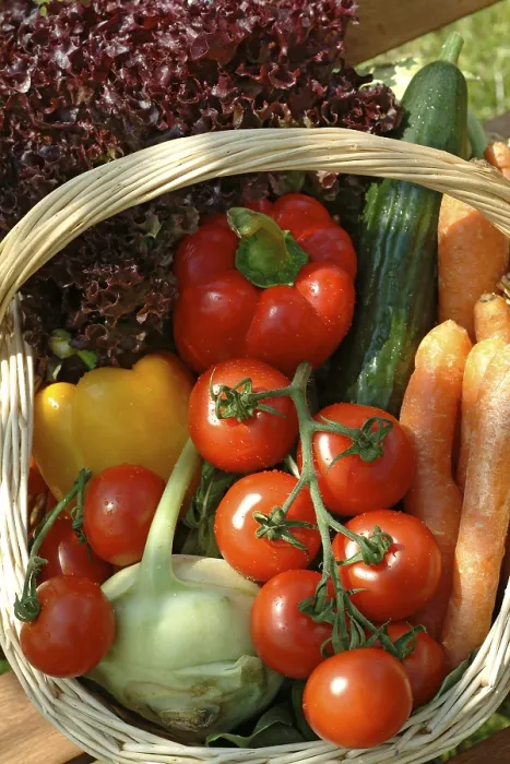 Framed Print : Basket with Vegetables Print