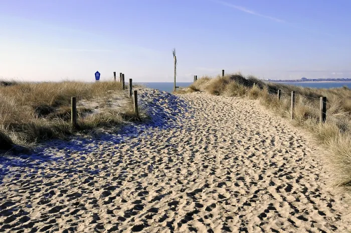 Framed Print : Beach Path at Ellenbogen near List, Germany Print Framed Print : Beach Path at Ellenbogen near List, Germany Print