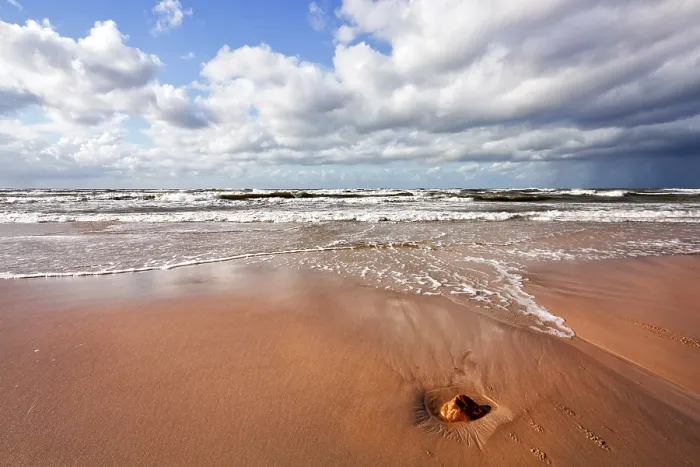 Framed Print : Beach and Sea Print Framed Print : Beach and Sea Print