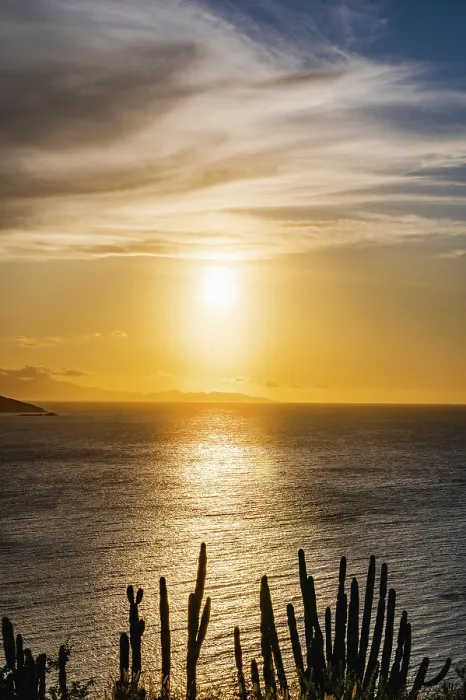Framed Print : Seaside Landscape Print