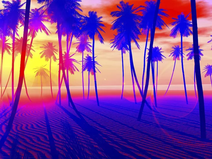 Framed Print : Beach and Sunset Print Framed Print : Beach and Sunset Print