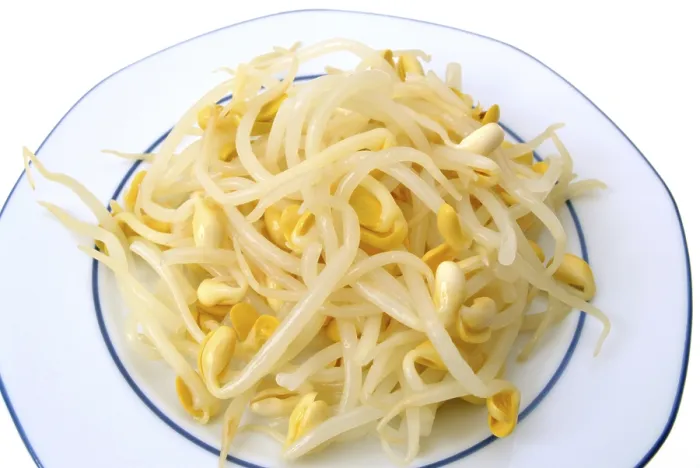 Framed Print : Bean Sprouts Print - Fresh Vegetable Close-up Framed Print : Bean Sprouts Print - Fresh Vegetable Close-up