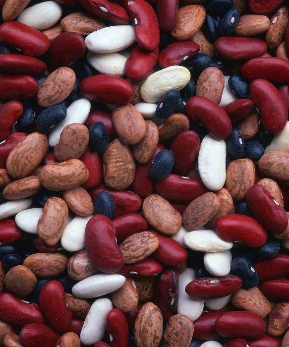 Framed Print : Dune: Print of Melange Beans Framed Print : Dune: Print of Melange Beans