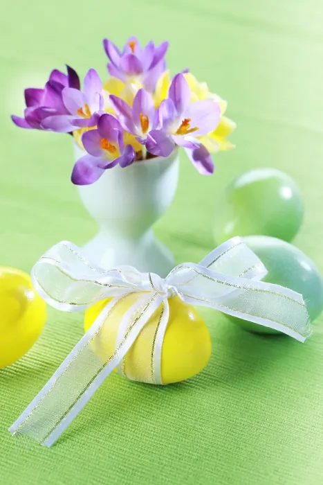Framed Print : Beautiful Crocuses Print for Easter and Eggs Framed Print : Beautiful Crocuses Print for Easter and Eggs