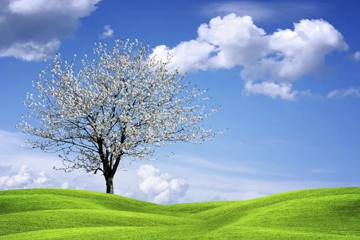 Framed Print : Beautiful Spring Landscape Print Framed Print : Beautiful Spring Landscape Print