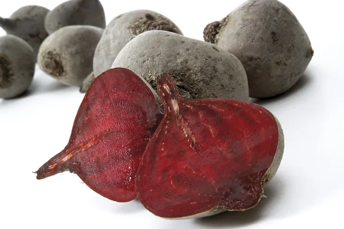 Framed Print : Beetroot Print (Beta vulgaris) Framed Print : Beetroot Print (Beta vulgaris)