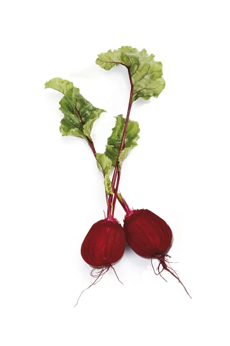 Framed Print : Beetroot Beetroot Print Framed Print : Beetroot Beetroot Print