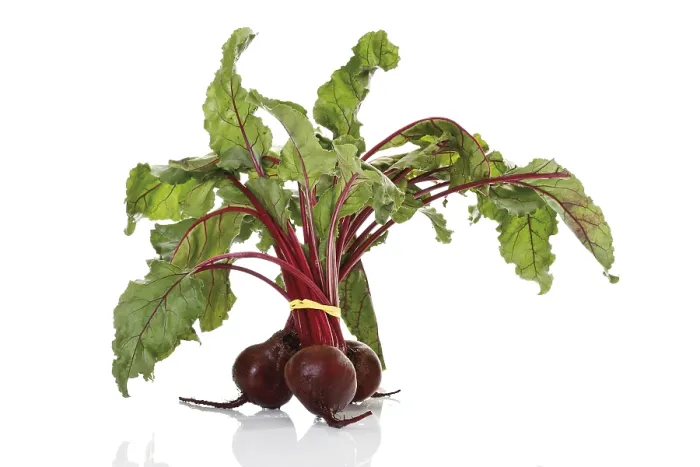 Framed Print : Beetroot Beetroot Print Framed Print : Beetroot Beetroot Print