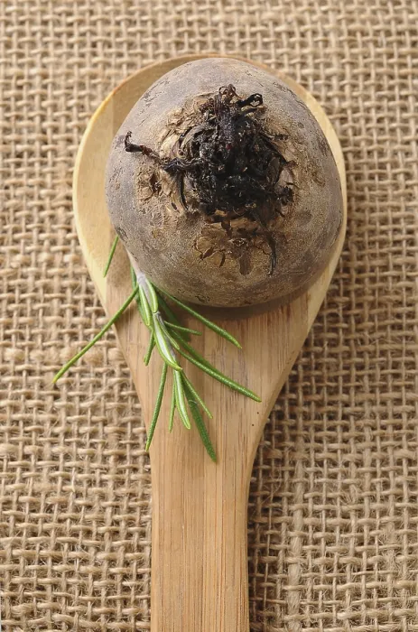 Framed Print : Beetroot on a wooden spoon Print Framed Print : Beetroot on a wooden spoon Print