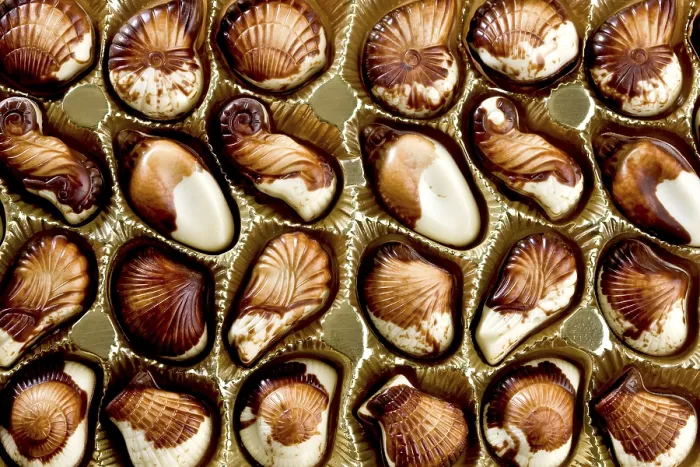 Framed Print : Belgian Chocolate Seashells Print Framed Print : Belgian Chocolate Seashells Print
