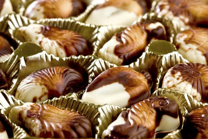 Framed Print : Belgian Chocolate Seashells Print Framed Print : Belgian Chocolate Seashells Print