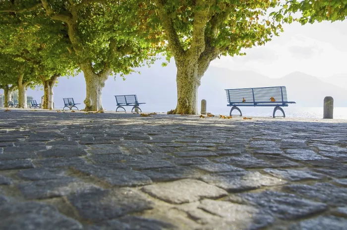 Framed Print : Benches and Trees with Sunlight Print in Ascona, Switzerland Framed Print : Benches and Trees with Sunlight Print in Ascona, Switzerland