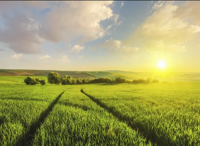 Framed Print : Beautiful Sunset in Moravian Fields Print, Czech Republic Framed Print : Beautiful Sunset in Moravian Fields Print, Czech Republic