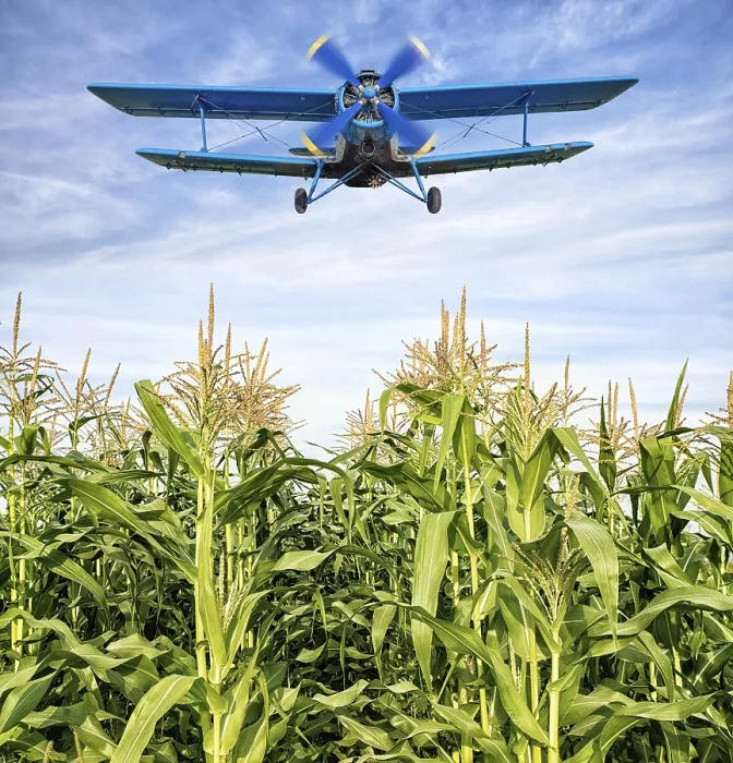 Framed Print : Biplane Over Maize Field Print Framed Print : Biplane Over Maize Field Print