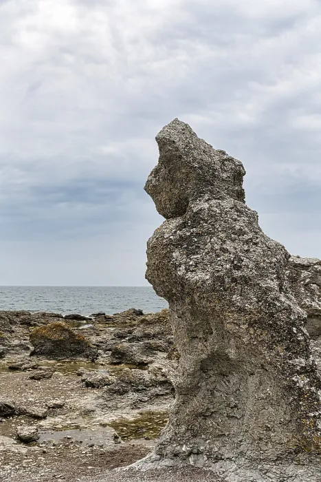 Framed Print : Bizarre Rocket, Raukar Limestone Column Print Framed Print : Bizarre Rocket, Raukar Limestone Column Print