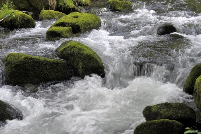 Framed Print : Black Forest Stream, Eyach Print