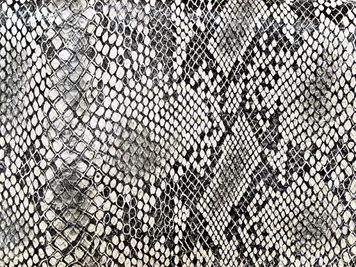 Framed Print : Black and White Snake Pattern Print Framed Print : Black and White Snake Pattern Print