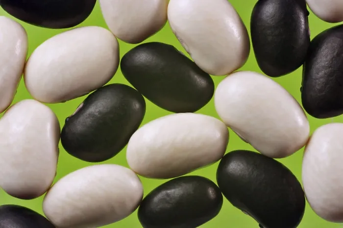 Framed Print : Black and White Beans Print: A Study in Contrast Framed Print : Black and White Beans Print: A Study in Contrast