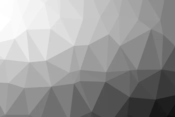 Framed Print : Black and White Low Polygon Random Triangle Abstract Print Framed Print : Black and White Low Polygon Random Triangle Abstract Print