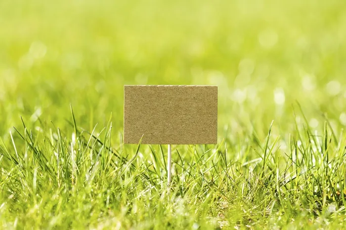 Framed Print : Green Grass Mini Paper Pointer Print Framed Print : Green Grass Mini Paper Pointer Print