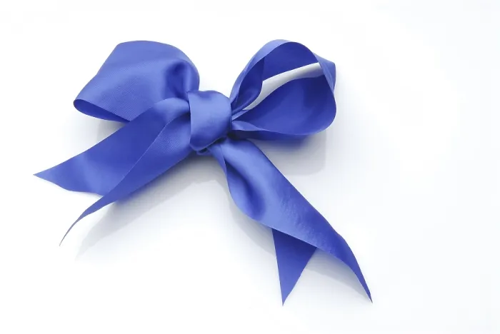 Framed Print : Blue Bow Print by imageBROKER Framed Print : Blue Bow Print by imageBROKER