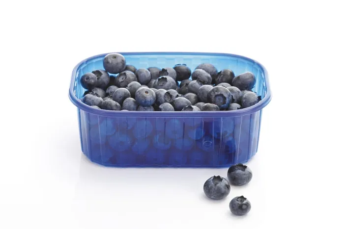 Framed Print : Blueberries in a plastic box Print Framed Print : Blueberries in a plastic box Print