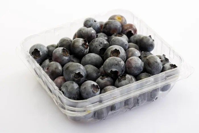 Framed Print : Blueberries in a Plastic Storage Container Print Framed Print : Blueberries in a Plastic Storage Container Print