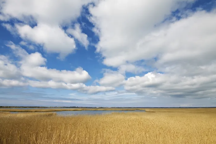 Framed Print : Bodden Landscape Print Framed Print : Bodden Landscape Print