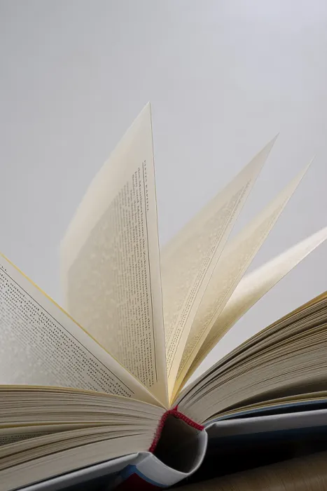 Framed Print : Book Print: Open and Close-up Details Framed Print : Book Print: Open and Close-up Details