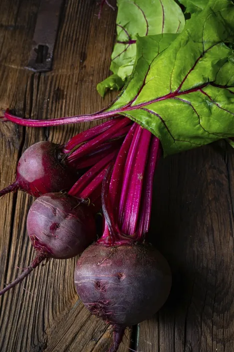 Framed Print : Botwina Print - Rustic Young Beetroot Framed Print : Botwina Print - Rustic Young Beetroot